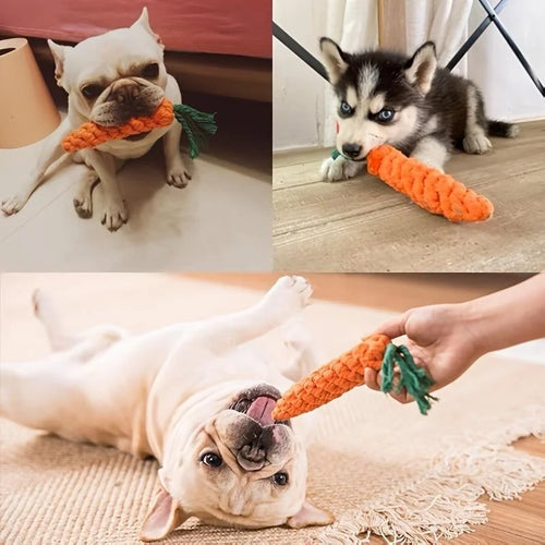 Carrot Twist Cotton Rope Dog Toy