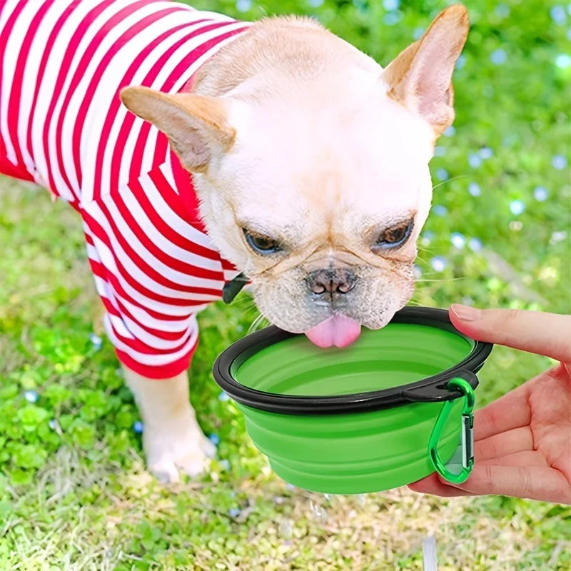 Fold & Go Travel Pet Bowl