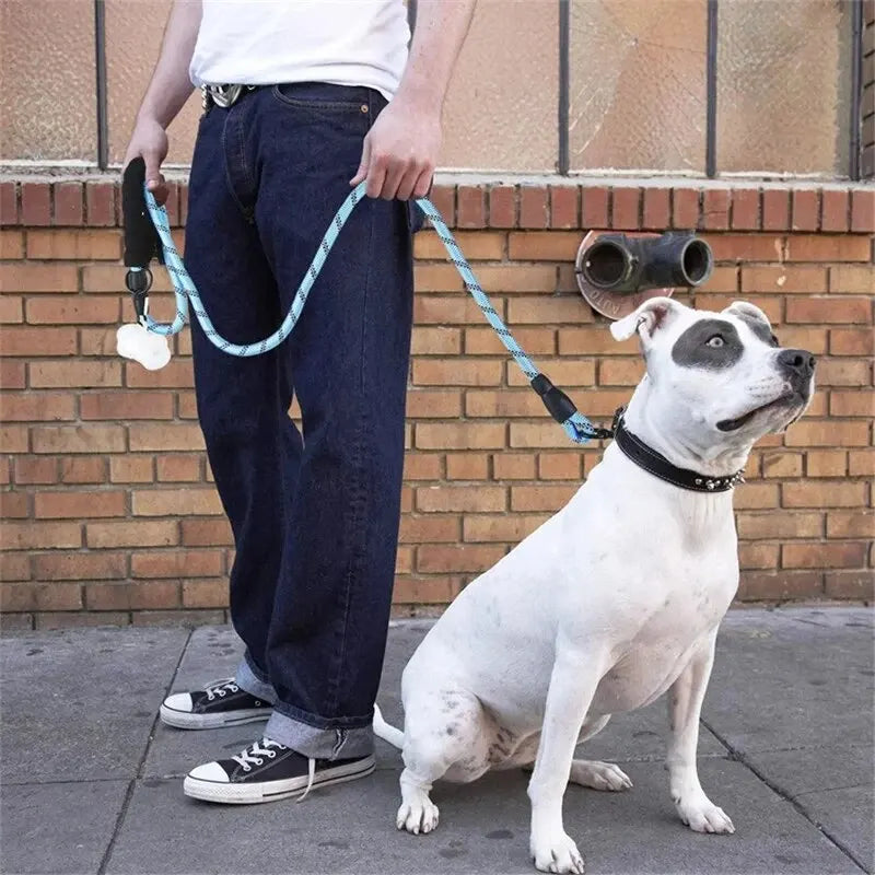 Padded Grip Reflective Dog Leash