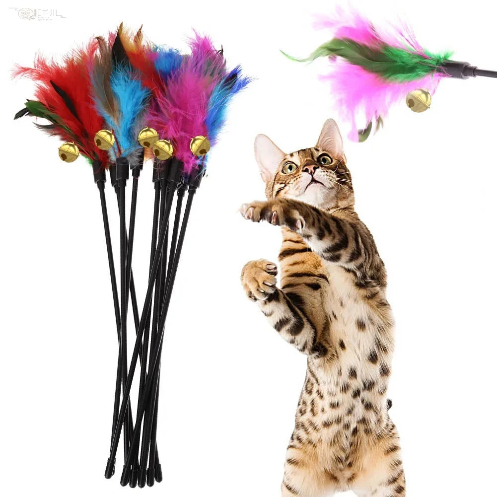 Feather Fiesta Cat Wand Set — 5 Pieces