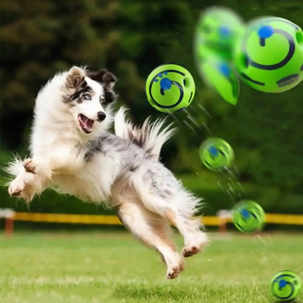 Giggle Roll Sound Ball for Dogs