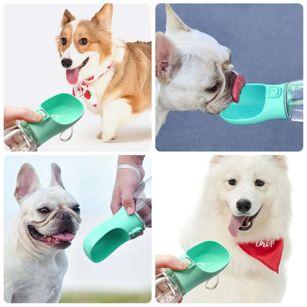 Sip & Go Travel Pet Water Bottle