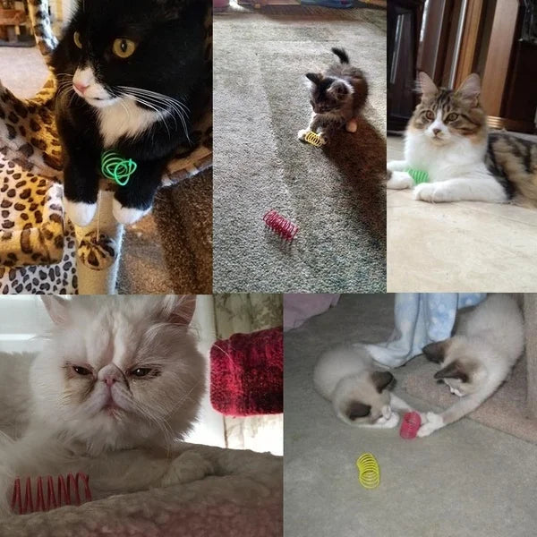 Spring Fling Spiral Cat Toy Pack