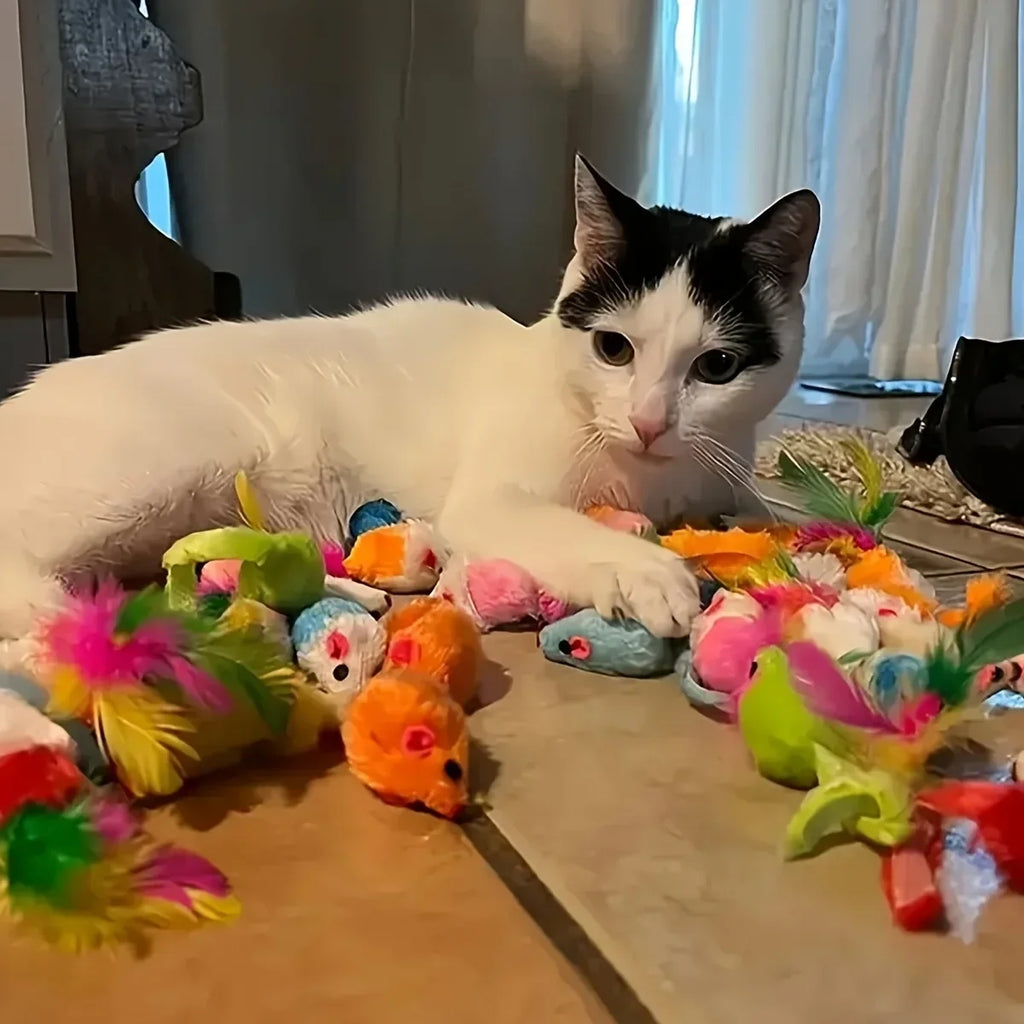 Playtime Mix Cat Toy Variety Pack