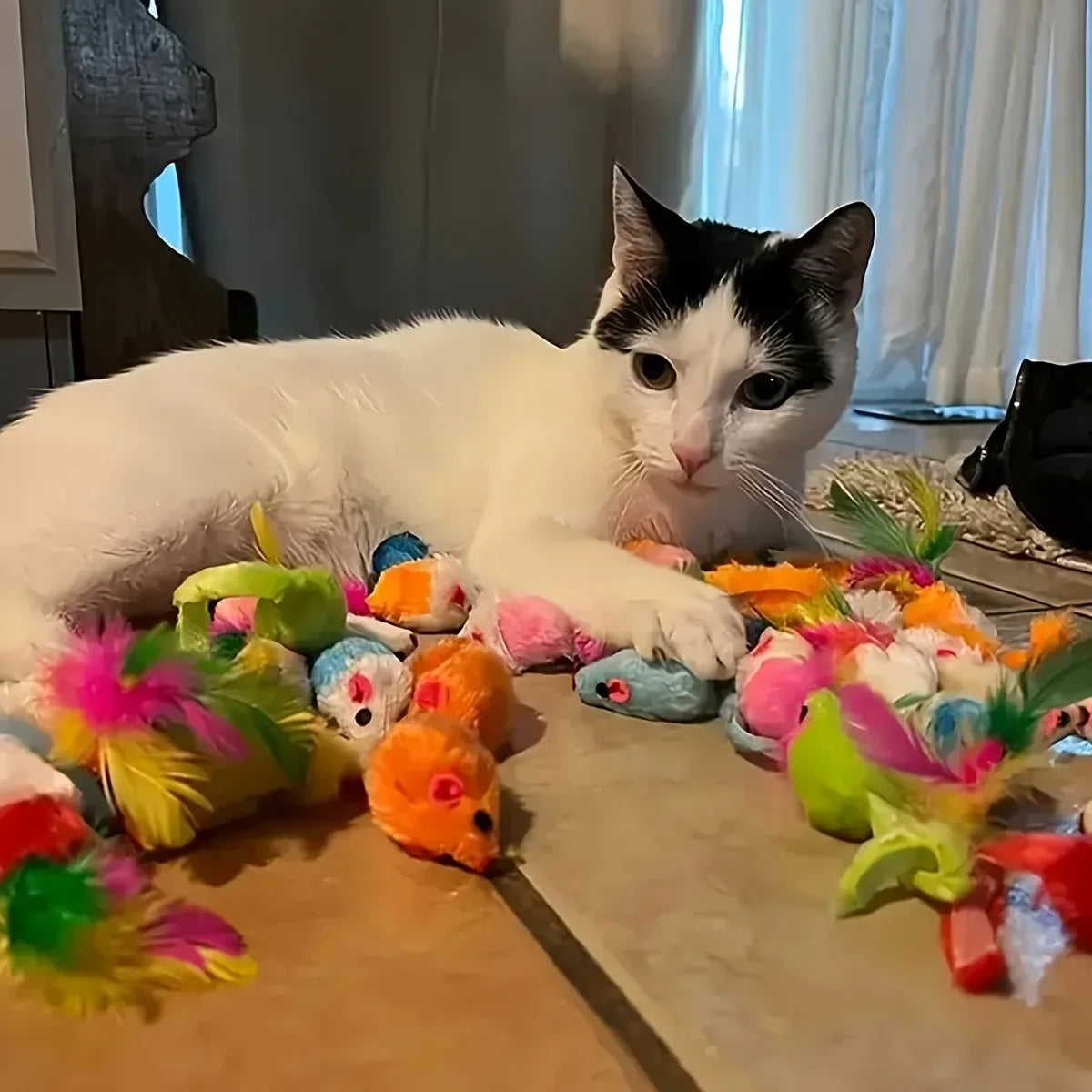 Playtime Mix Cat Toy Variety Pack